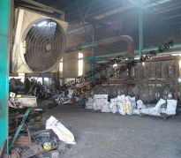 Đúc Nhân Đạt 09