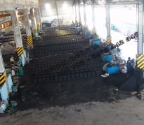 Đúc Nhân Đạt 15