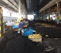 Đúc Nhân Đạt 35